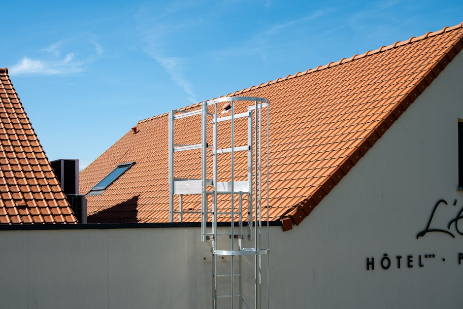roof inspection ladder — roofing in the East Bay